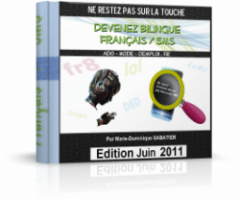 DICO FRANÇAIS SMS GRATUIT CouvertureEbook2 1 DICO SMS