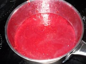 Préparation bavarois framboises et fraises Tagada®