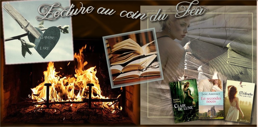 Lecture Au Coin Du Feu Ado Mode D Emploi