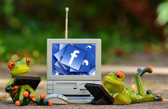 grenouille accro à Facebook