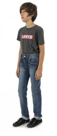 jean levis